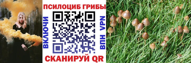 Купить закладки  Котельники  Галлюциногенные грибы Psilocybine cubensis 